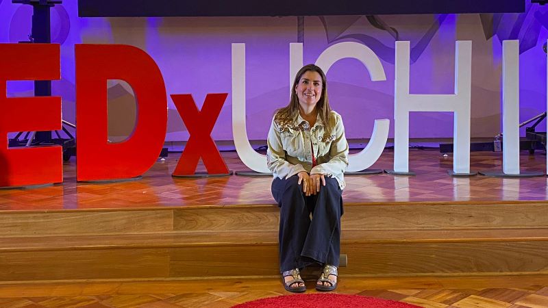 Descripción de la imagen